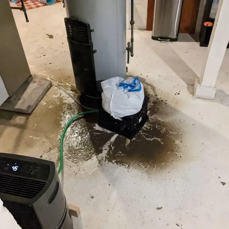 Sewage Backup Cleanup Service in Stewartville, AL